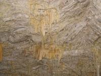 Albums/20060200-New Zealand 2006/20060318-Kaikiura/74